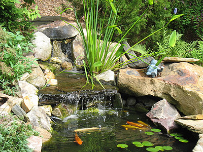 garden koi pond waterfall