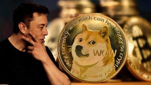 Elon Musk revela motivo inusitado para promover Dogecoin