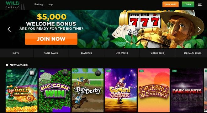 jogos wild casino - apostas csgo bitcoin