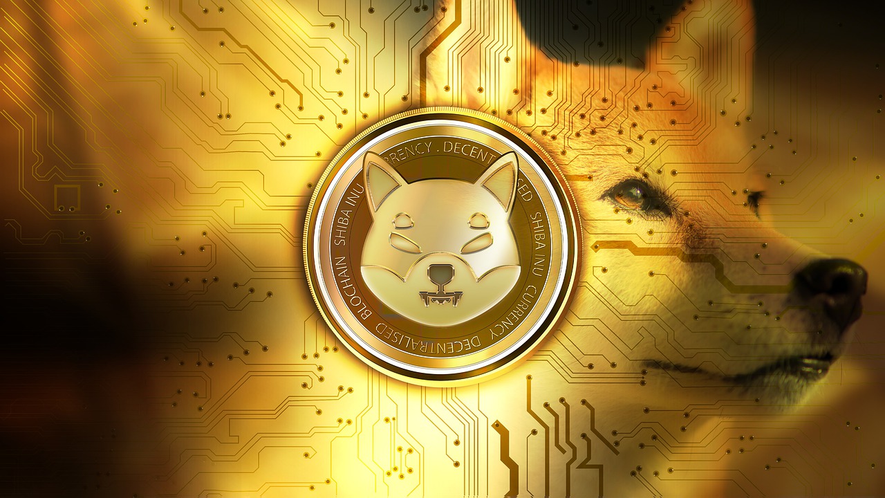 Wo Kann Man Shiba Inu Coin Kaufen