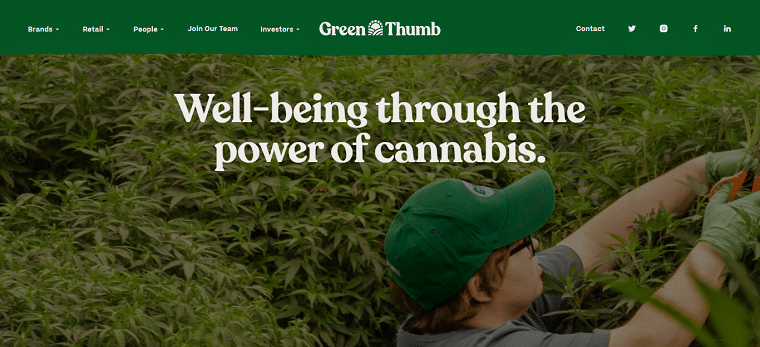 Green Thumb _ Health, Happiness & Wellbeing with Cannabis