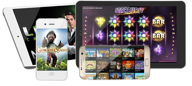 Handy Casinos mit Web-App vs. nativer App