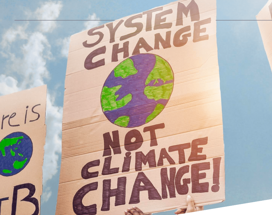 Nachhaltigkeit & Generation Z Social Media schlägt Schulbildung