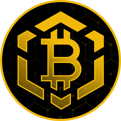 Bitcoin BSC ICO crypto