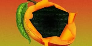 mango broker de criptomonedas