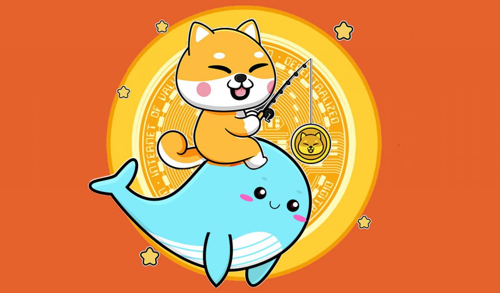 Shiba Inu