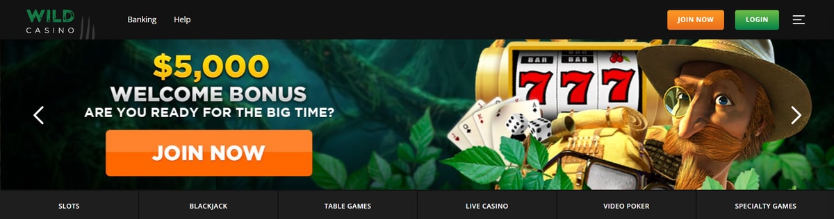 wild casino en línea dinero real pantalla principal