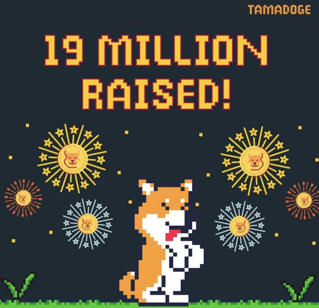 Tamadoge logra su objetivo y recauda 19 millones de dólares