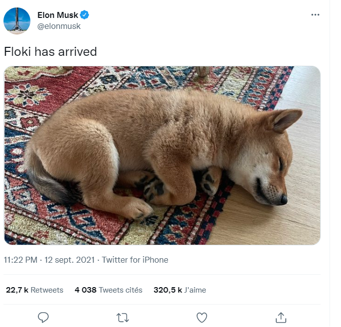 Tweet Elon Musk Avenir Shiba Inu
