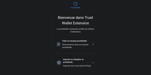 Acheter Battle Infinity avec l’Extension Chrome Trust Wallet -Configuration extension Chrome Trust Wallet