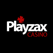 logo playzax