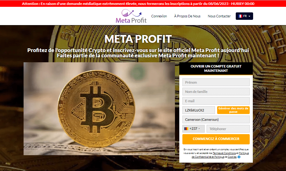 Meta Profit