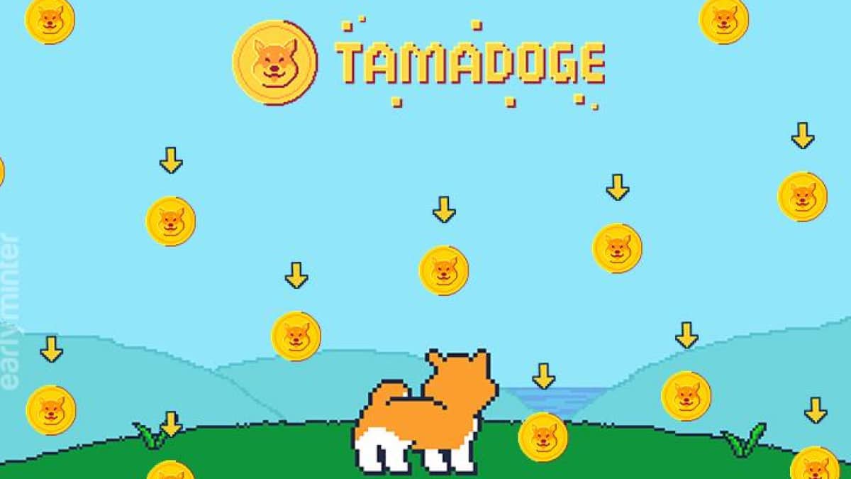 Tamadoge - crypto monnaie à moins de 1€