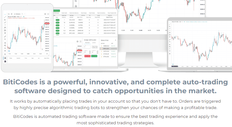 biticodes-website-bot
