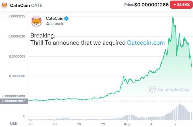 A CateCoin ára 35 százalékkal esett, a Binance nem listázza
