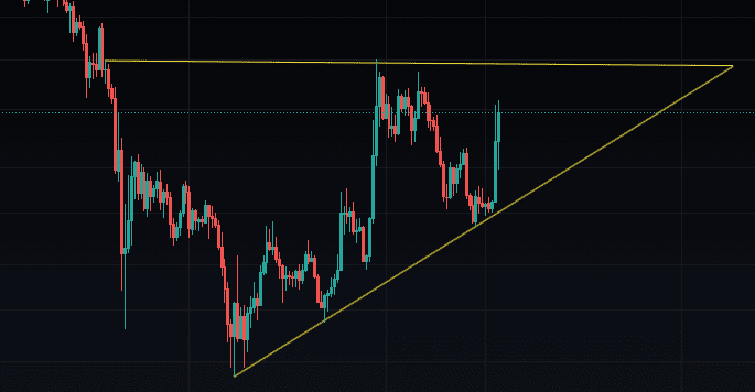 Ravencoin kripto árfolyam előrejelzés 2023-re – a Tamadoge új riválisa?