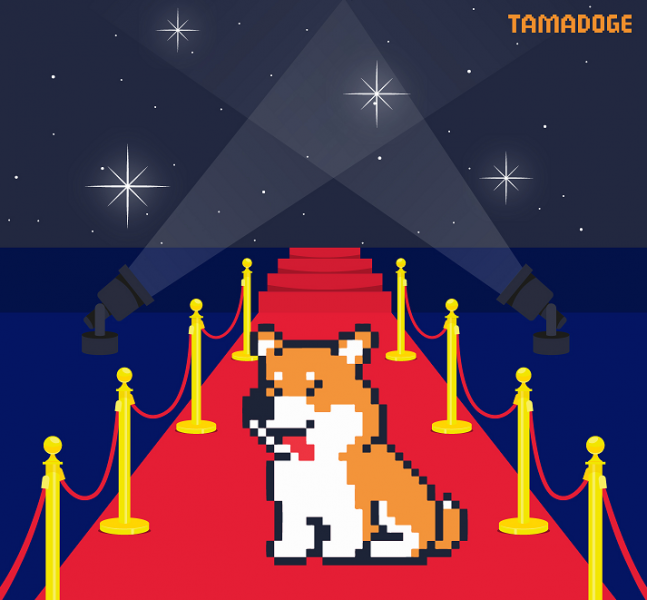 A tőzsdei kibocsátás után ez az érme 100x-re is kilőhet