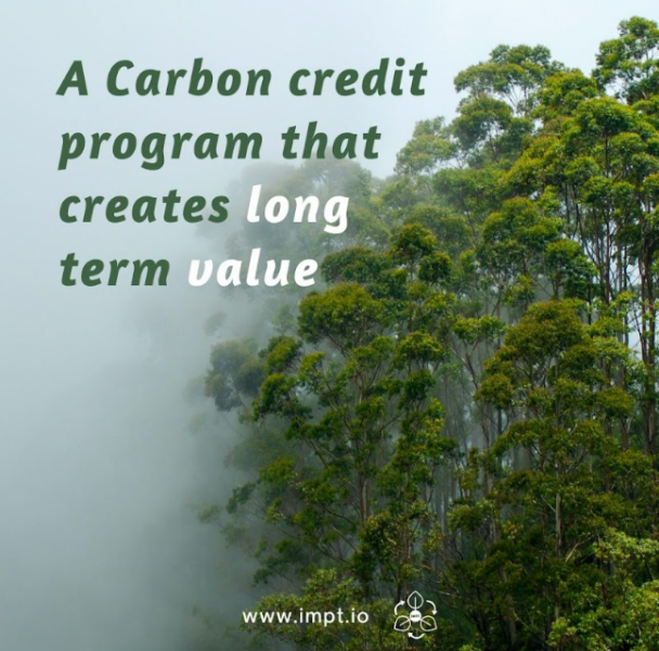 Az elemzők szerint ez a zöld kriptovaluta a 100-szorosára nő 2023-ra