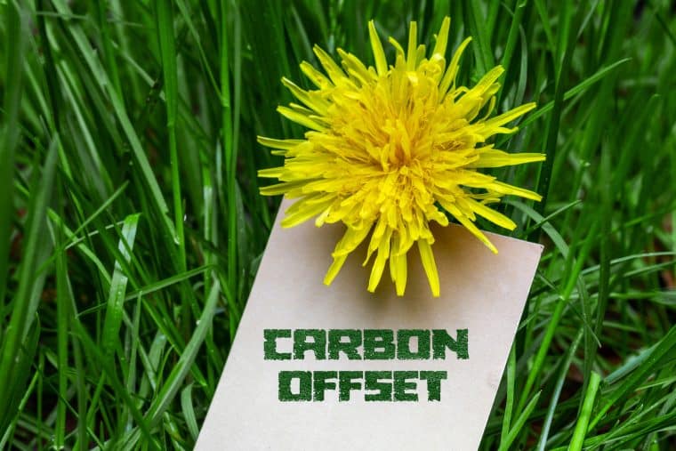 Ez a zöld szén-dioxid kiegyenlítő kriptovaluta 50x lehet 2023-ra