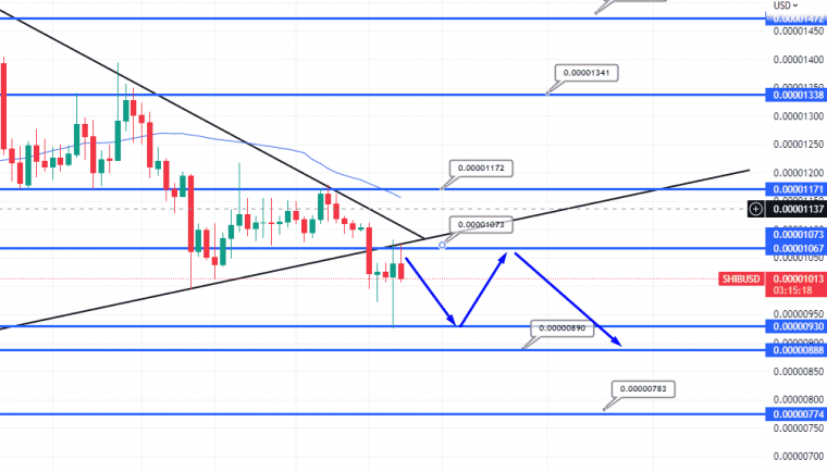 A Shiba Inu ára gyengül – jobb jövőt jósolnak a Tamadogenak?