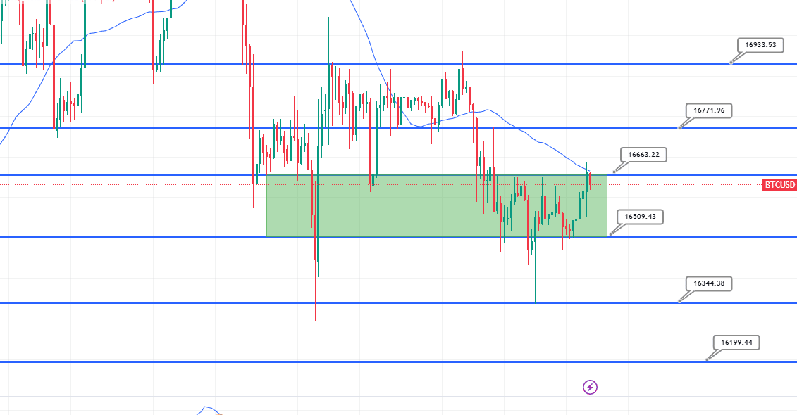 Ezek lennének a Bitcoin rally jelei? 2023 a BTC éve lesz?