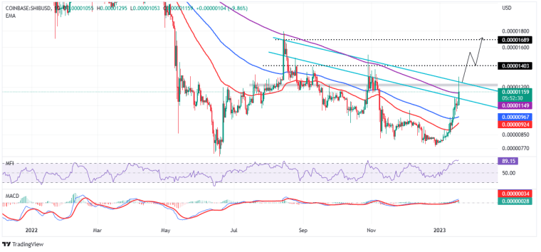 Vonyítanak a kutyás kriptók – Shiba Inu és Tamadoge