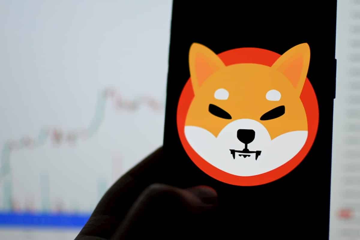A Shiba Inut viszi a kriptohullám, már a 11. legnagyobb érme