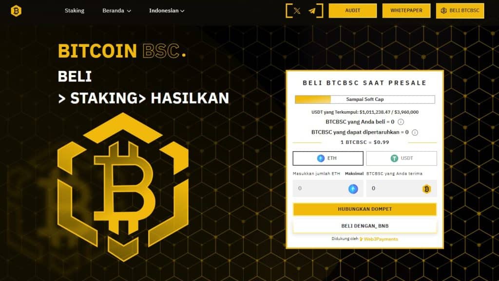 Bitcoin BSC - BEP20 Crypto Eksplosif dengan Harga $ 0,99