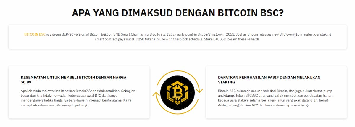 Gambaran Umum Bitcoin BSC