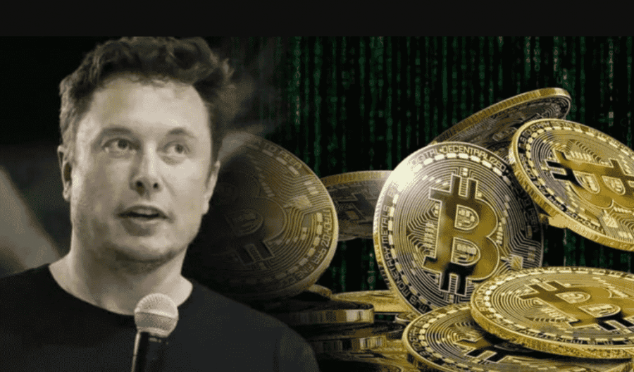 Bitcoin, social media e Elon Musk