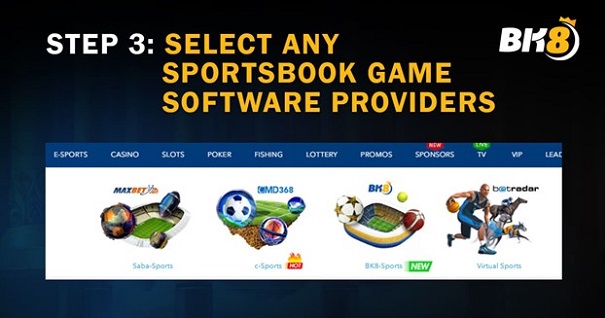 Step 3: Choose Any Sportsbook Gaming Software Provider