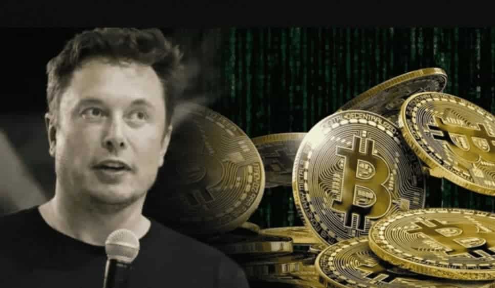 Adakah Bitcoin Dynamit disahkan oleh Elon Musk