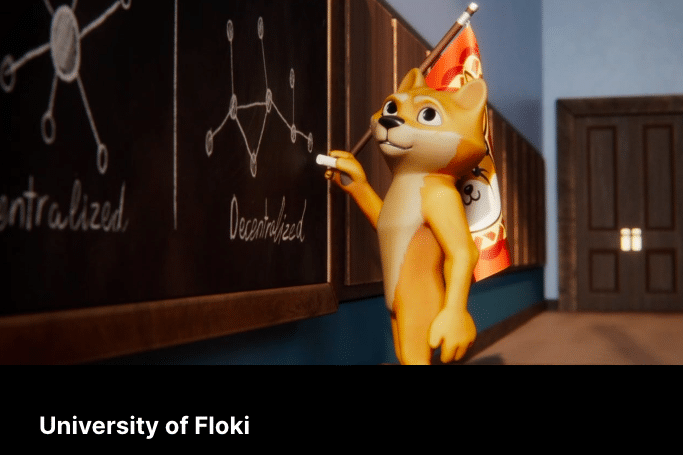 Floki Inu Kopen Nederland via Floki University