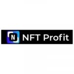 NFT Profit vierkant logo