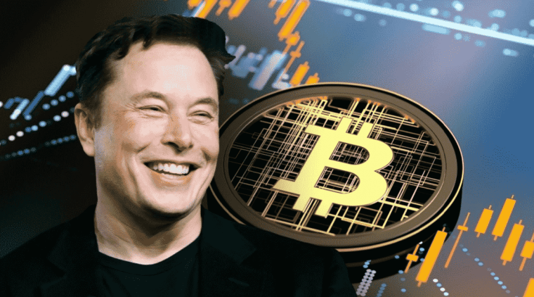 Elon Musk en Bitvestment