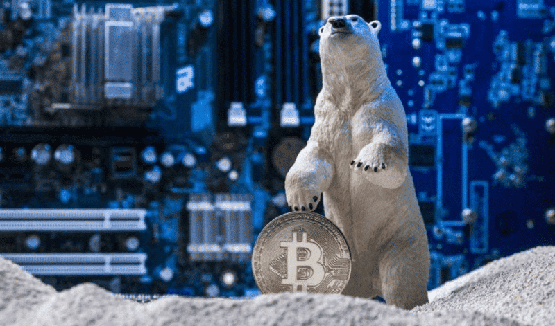 crypto winter bitcoin