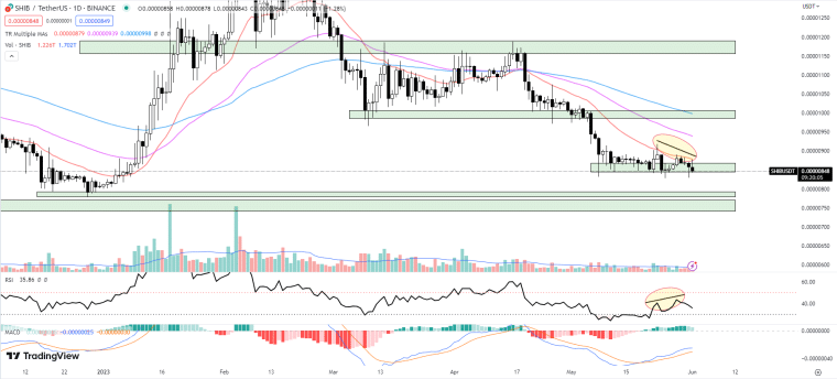 Shibu Inu Koers Grafiek