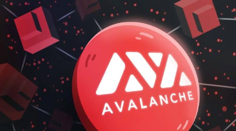 avalanche avax welke nieuwe crypto kopen