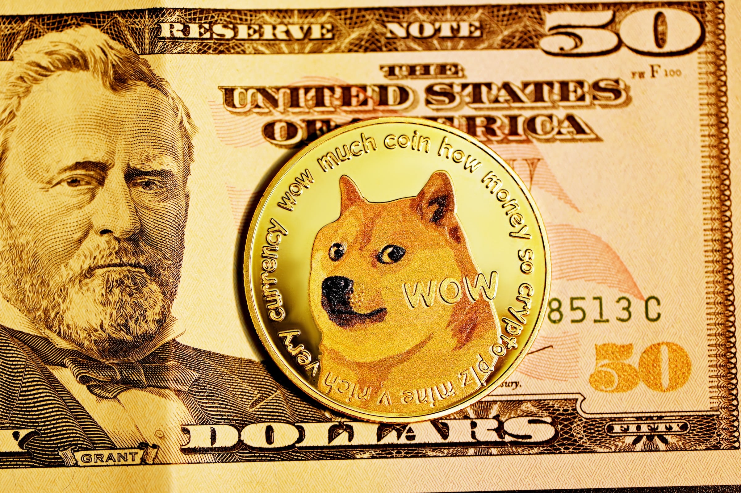 dogecoin seddel mynt