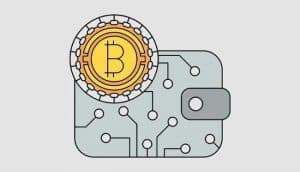 Portfel bitcoin