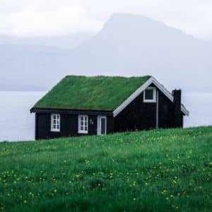 Dom z zielonym dachem