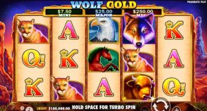 Recenzia Slotului Wolf Gold