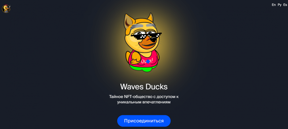 waves ducks тайное NFT-сообщество