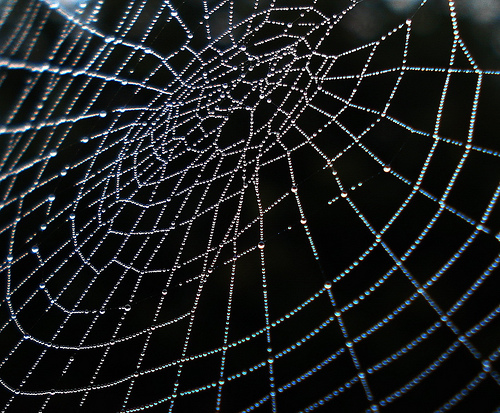 Photo by Jus' fi on Flickr