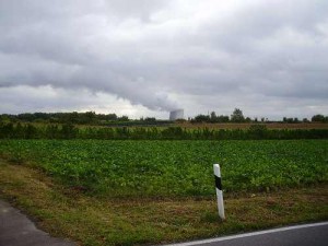 Crops in front of nuclear plant