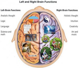 Right brain web designers versus left brain SEO consultants