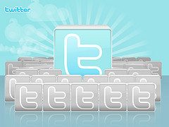 Twiter logo 