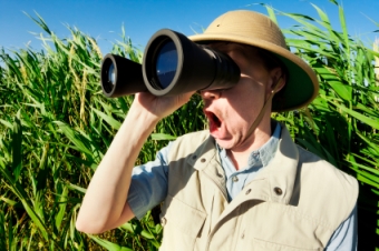 capturing more sales leads