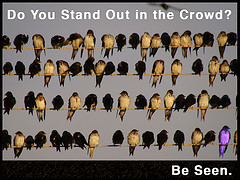stand out with inbound marketing strategies