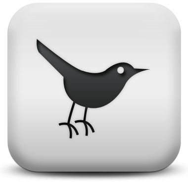 What is the One Terrific Reason to Join Twitter